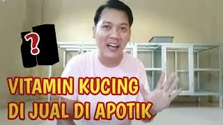 MURAH MUDAH DICARI||5 VITAMIN KUCING DI APOTIK