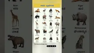 Wild animal names in kannada!                     #shorts #youtubeshorts #kannada