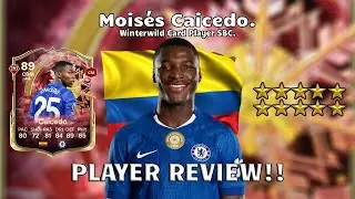 🎄❄️ Обзор игрока Мойзеса Кайседо с рейтингом 89! SBC с карточным игроком Winterwild!🎄❄️FC 26 Ulti...