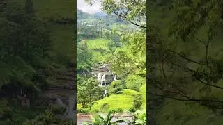 Ella Odyssey train journey | Sri Lanka | Sept 2025 #srilanka #visitsrilanka #ella #srilankadiaries