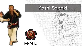 Nihon Taï Jitsu - Koshi Sabaki - EFNTJ