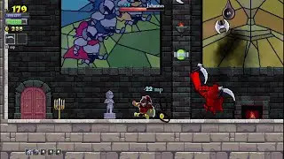 Rogue Legacy Day67 Spellsword vs Johannes (No Commentary)
