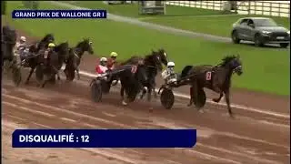 Grand Prix De Wallonie Gr1 2025 - Inexess Bleu & Allesandre Abrivard 1.12,2 2840m 