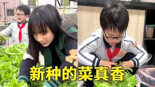 楼顶的菜长得太好了，立马拿盆出来摘，自己种的菜吃着可真是甜！【泡沫的夏天】