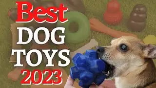 Best Dog Toys 2023 (TOP 3 Picks For Any Budget ) Promarkit