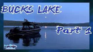 BUCKS LAKE CAMPING AND FISHING | CATCH AND COOK | DAY 1 & 2