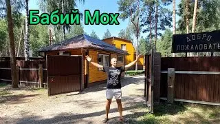 Обзор Агроусадьбы Бабий Мох на берегу Краснослободского водохранилища в лесу ........