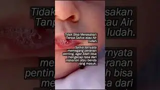 FAKTA LIDAH 7 #fyp  #viralvideo  #fakta  #faktaunik ~ AWAK FACT