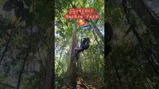 Chestnut Nature Park