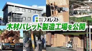 【工場の裏側】原木が木材パレットになるまでの全工程