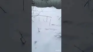 That felling after a snow storm&hellip;#snow#nature#travel#happy#trending#hiking#animals#neve#eua#follow