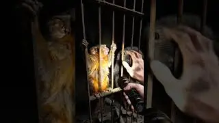 Abandoned Bunker Discovery: Old Monkey Cage Underground #gameplay #worldhistory #horror #war