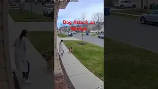 Security Camera Captures Near Dog Attack on Woman 😱🐕 | Real Footage