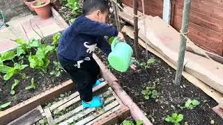 Kaiden's water in the garden.