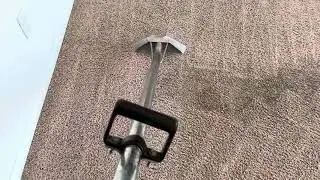 Steam cleaning | Carpet Cleaning Panorama | Professional Carpet Cleaning in Northeast Bakersfield