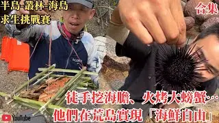 【半島-丛林-海岛求生挑战赛】荒野求生實錄：他們在島上吃海膽、抓螃蟹，卻因蚊子崩潰退賽…