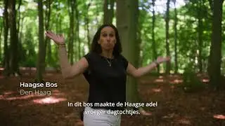 Geniet van de duinen, landgoederen en uitgestrekte weiden tussen Den Haag, Leiden en Zoetermeer