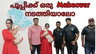 പൂപ്പിക്ക് ഒരു Makeover നടത്തിയാലോ#onemillion#minivlog#nursing#pets#grooming#petsgrooming#makeover