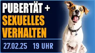 Wenn der Hund auf Durchzug stellt - Sexualtrieb, Pubert&auml;t und Kastration - Fragen live beantwortet