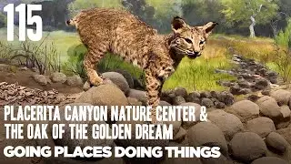 Placerita Canyon Nature Center & The Oak of The Golden Dream  &mdash;&nbsp;115