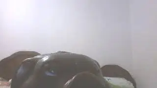 Parquinho pimp&atilde;o o novo mascote do canal