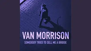 Somebody Tried To Sell Me A Bridge