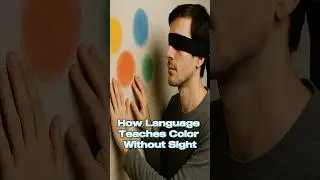 Learn French &ndash; How Language Teaches Color Without Sight | B2 French Listening Practice