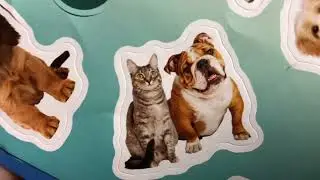 My sticker book DOGS & CATS - My best friend