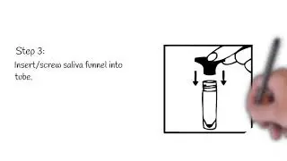 SDI Labs - Saliva RT PCR Collection Instructions