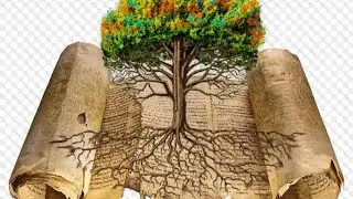 Hebraic Roots Bible Study Tonight Tuesday 9th December, at 7:15 pm UK 🇬🇧  📱