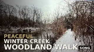 Peaceful Winter Creek and Woodland Walk with Calm Jazz