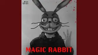 Magic Rabbit