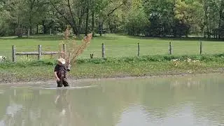 Adding another fish attractor to the pond