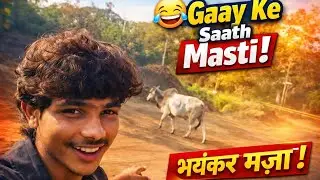 Amazing Video |FullEntertainment🔥MustWatch #youtube #viralvideo #trending #newvideo #subscribe #like