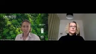 Carbon rights in the context of jurisdictional REDD+: Charlotte Streck's expert insight