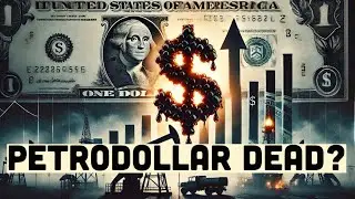 The Rise and Fall of the Petrodollar: A Global Economic Shift
