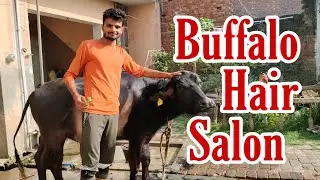 A Casual Day in the Life Of Village's Student || Villager Chora || Gaon ki Life in 2022