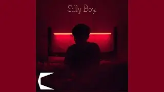 Elveon - Silly Boy 🇳🇱 (Official Audio)