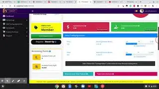 PGI Global - My First 10 Weeks Results