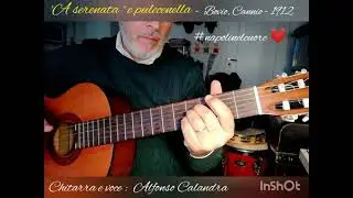 'A serenata 'e pulecenella - Alfonso Calandra