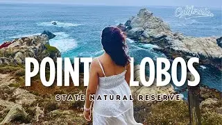 Point Lobos State Natural Reserve|Travel Guide | Best Spots + Easy Trails + Must-Know Tips!