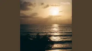 Plastic