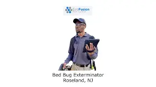 Bed Bug Exterminator Roseland, NJ - EcoFusion Pest Control