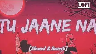 Tu Jaane Na #lofi #love #sad #music #emotional @Treznor_Lofi