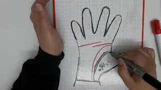 علم قراءة الكف / التلال -الجزء الثالث
