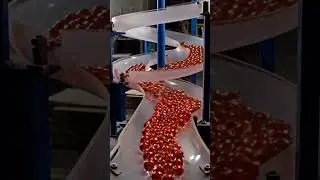 Most Satisfying Modern Production Line | Hypnotic Manufacturing