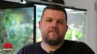 Micky's Insights #1 Founding of Show Me Reptiles
