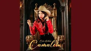 Camale&oacute;n