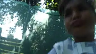 luna a kutya bele ment a baz&eacute;nba:(