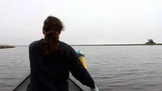 (Part 14)Approaching Ochlockonee Bay from up stream after 68 miles of paddling